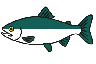 Икра горбуши