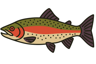 Икра форели